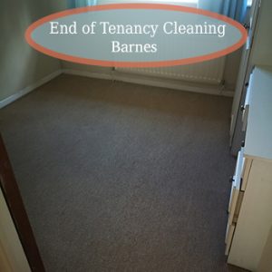 carpet clean barnes