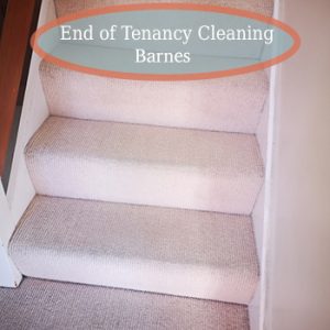 carpet cleaning barnes