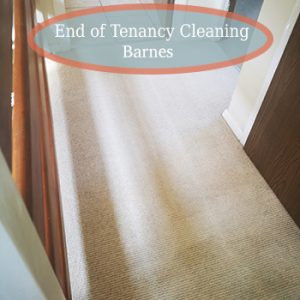 carpet cleaning services barnes