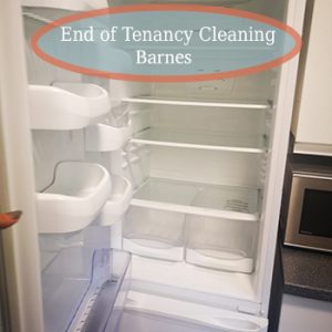 deep clean barnes