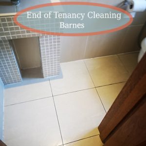 deep cleaning barnes